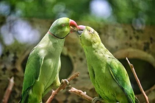 使用佳能微单M6是一种什么体验？