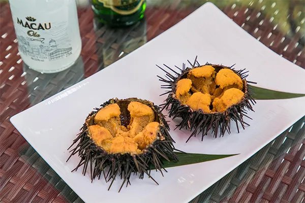 海胆的营养价值