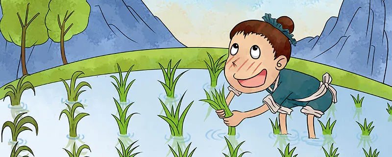 揠苗助长文言文翻译