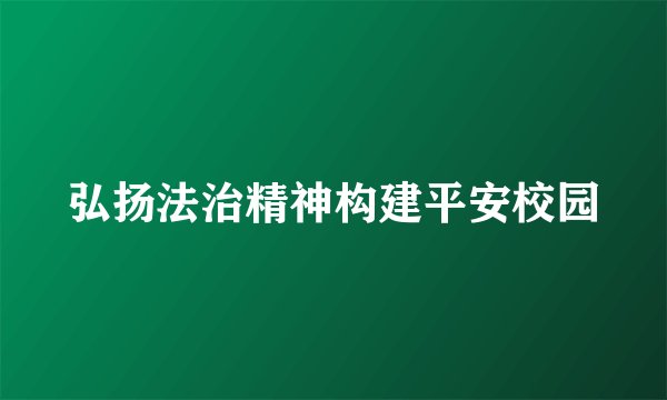 弘扬法治精神构建平安校园