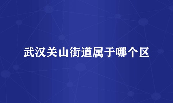 武汉关山街道属于哪个区