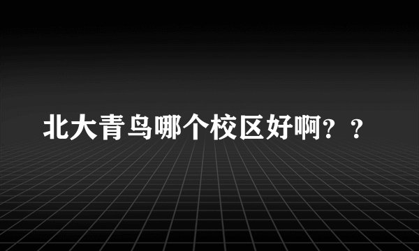 北大青鸟哪个校区好啊？？