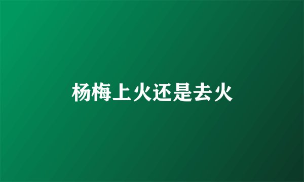 杨梅上火还是去火