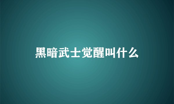 黑暗武士觉醒叫什么