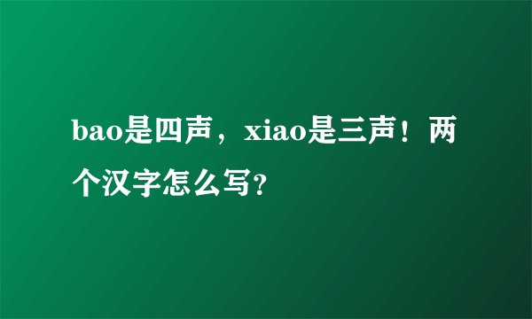 bao是四声，xiao是三声！两个汉字怎么写？