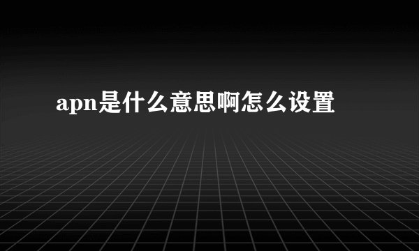 apn是什么意思啊怎么设置