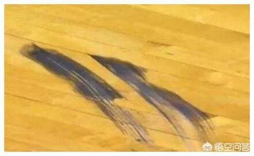 为何急停留下醒目刹车痕之后，詹姆斯的脚踝却没有受伤呢？