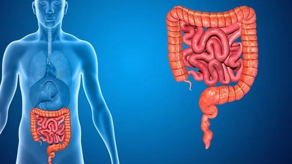 急性阑尾炎术后护理