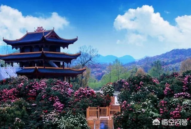 四月份国内有哪些适合摄影旅游的地方？