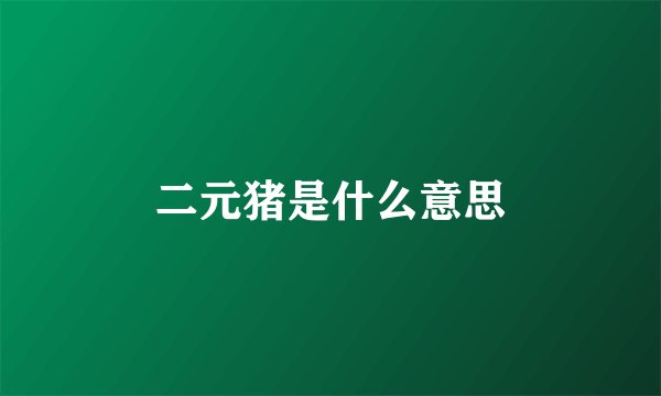 二元猪是什么意思