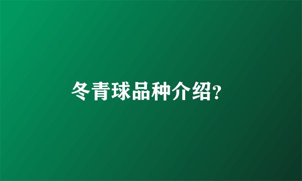 冬青球品种介绍？