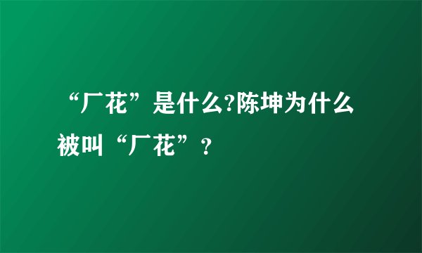 “厂花”是什么?陈坤为什么被叫“厂花”？