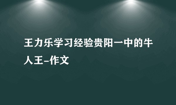 王力乐学习经验贵阳一中的牛人王-作文