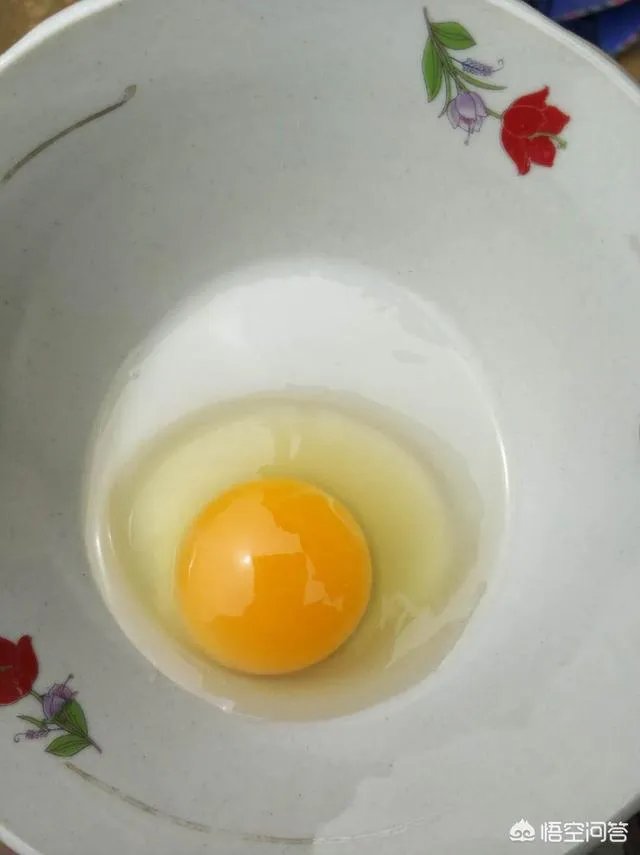 养绿壳蛋鸡有前景吗?有什么好建议?