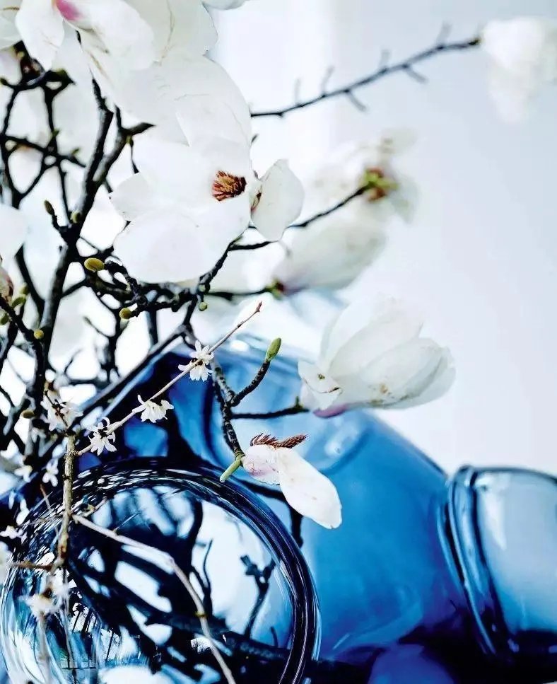 2020年流行色，太美了！