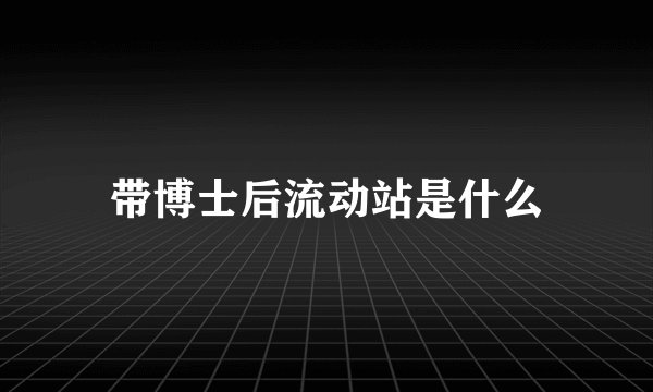 带博士后流动站是什么