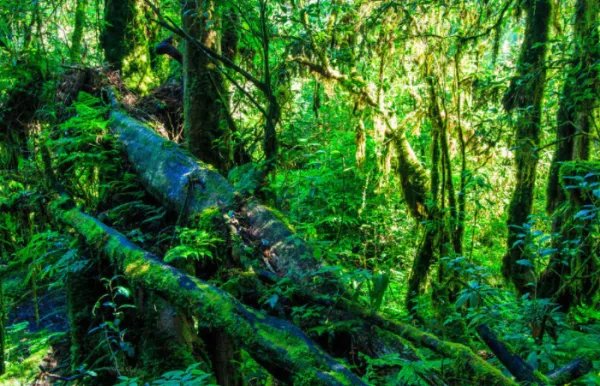 墨脱旅游景点大全