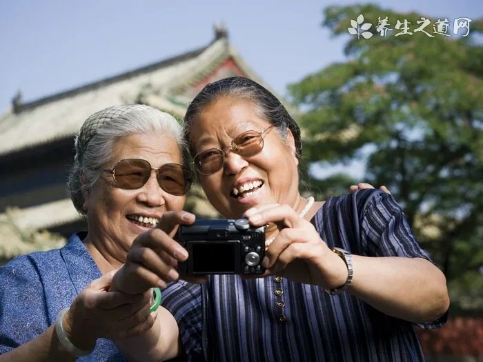 什么是比利时黑色牧羊犬