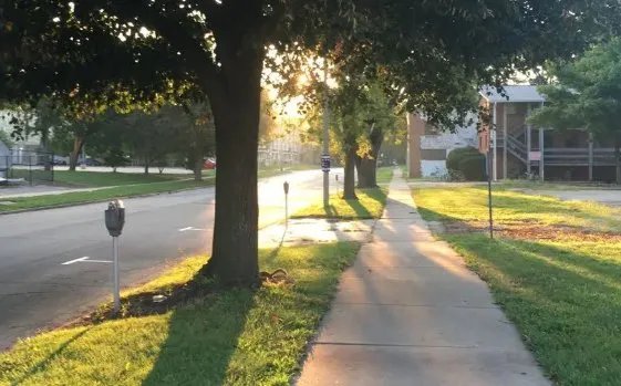 郑爽说太早懂事不是幸福,你是什么时候开始成熟起来的?