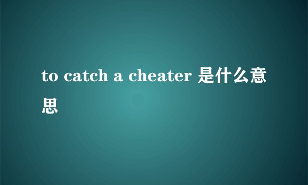 to catch a cheater 是什么意思