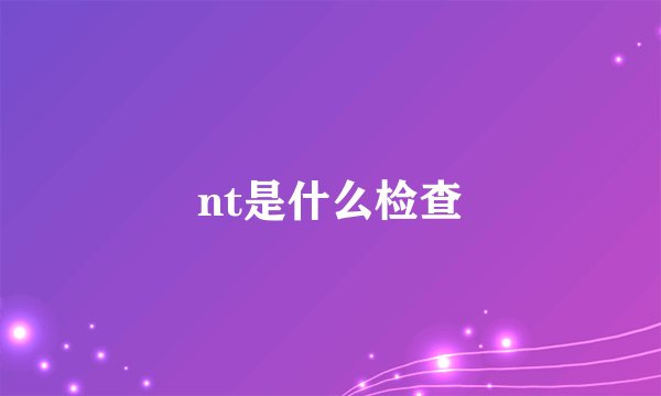 nt是什么检查