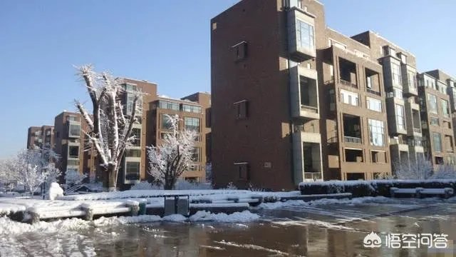 文章与马伊琍终究还是分开了，破镜真的难重圆吗？