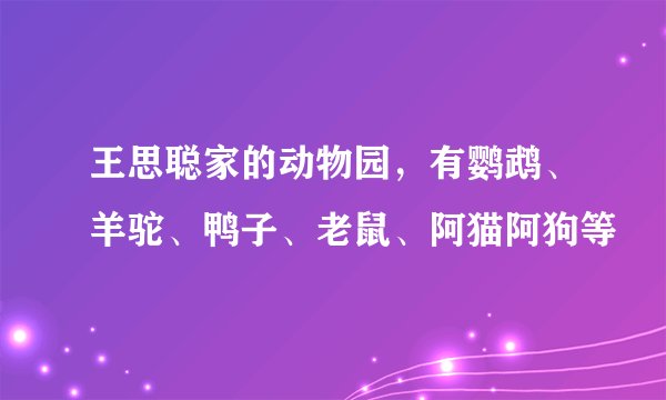 王思聪家的动物园，有鹦鹉、羊驼、鸭子、老鼠、阿猫阿狗等