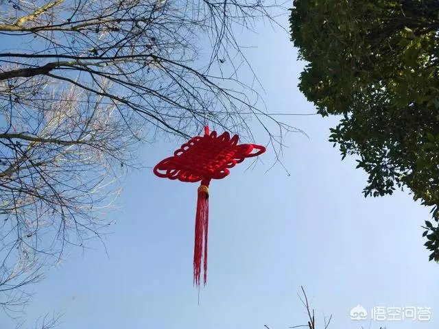 过年是否就是一家人团团圆圆在一起呢？