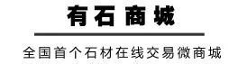 常见石材背栓对比分析