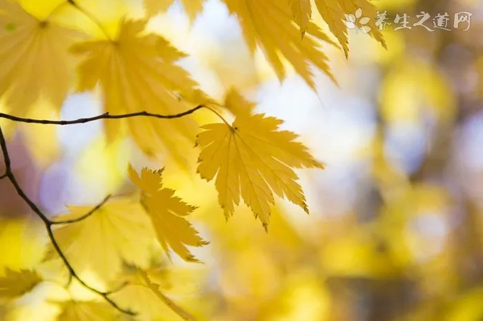 泪痣的位置在哪 泪痣的人有什么命运