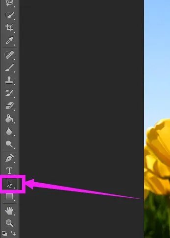 利用编码的方法进行二维裁剪时有哪些判断规则