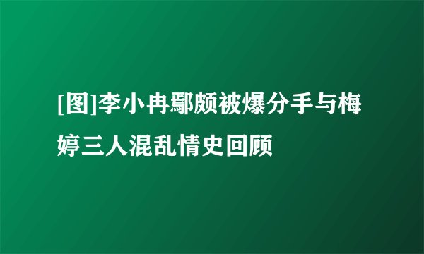 [图]李小冉鄢颇被爆分手与梅婷三人混乱情史回顾