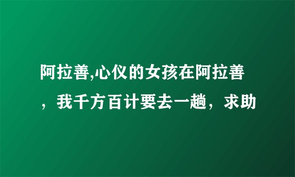 阿拉善,心仪的女孩在阿拉善，我千方百计要去一趟，求助