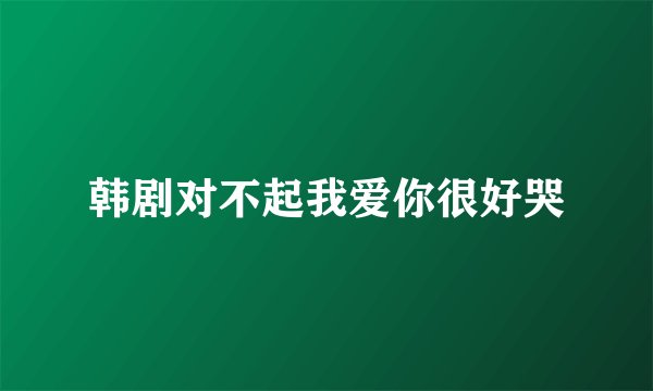 韩剧对不起我爱你很好哭