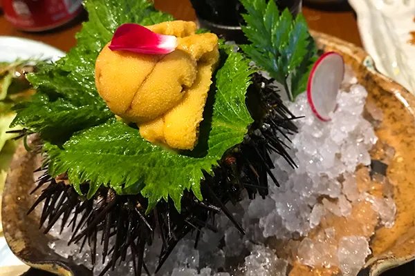 海胆的营养价值