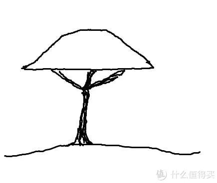 造景 篇一：小白也能玩草缸—聊一聊我的水草缸造景历程