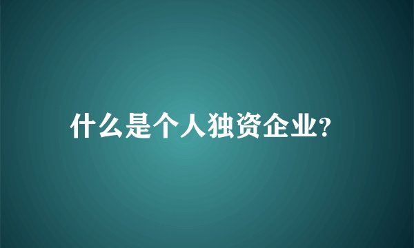 什么是个人独资企业？