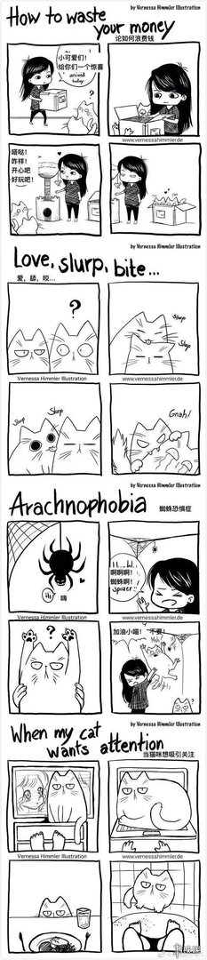 这磨人的小妖精!这20张插画告诉你为什么千万别养猫