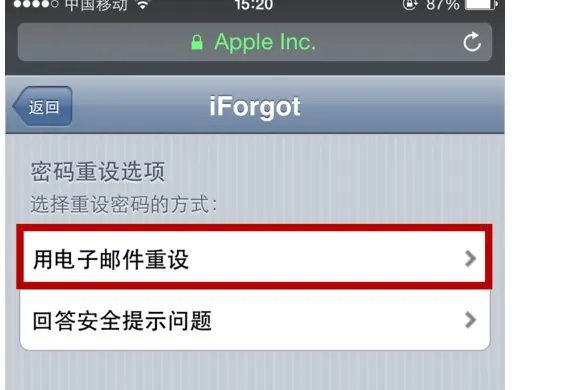 aople store下载软件会被禁用