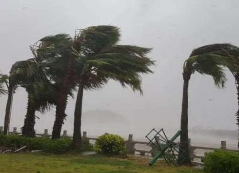 台风＂天鸽＂已致多少人遇难？