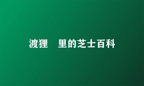 渡狸卍里的芝士百科