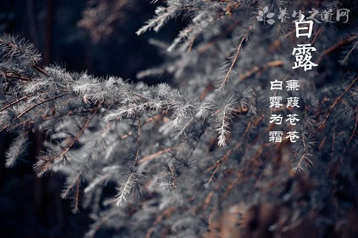 什么是三伏?何时入伏?