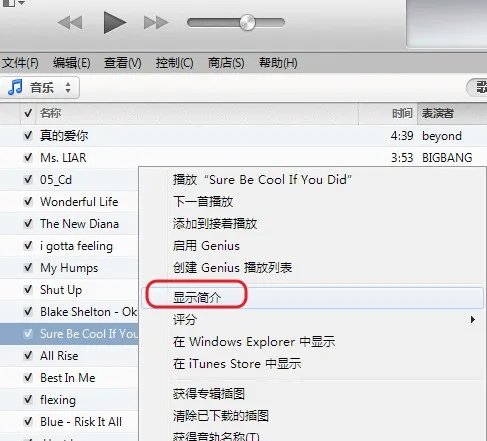 电脑上的itunes怎么样显示歌词