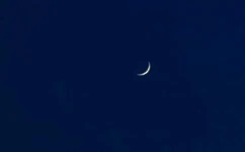 四年级部编版走月亮课文教案