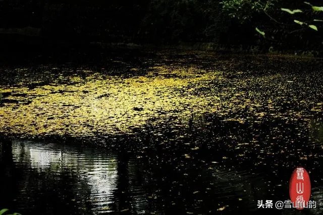 学摄影好吗？什么摄影好？