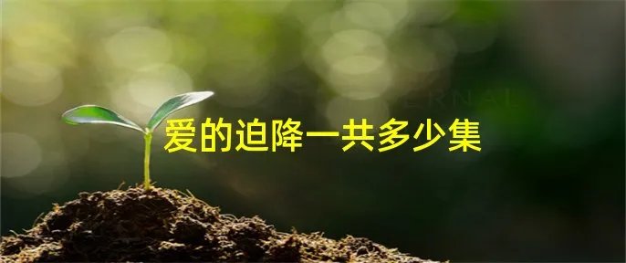 爱的迫降一共多少集