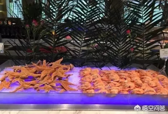 石家庄有哪些好吃的自助值得推荐，谢谢？