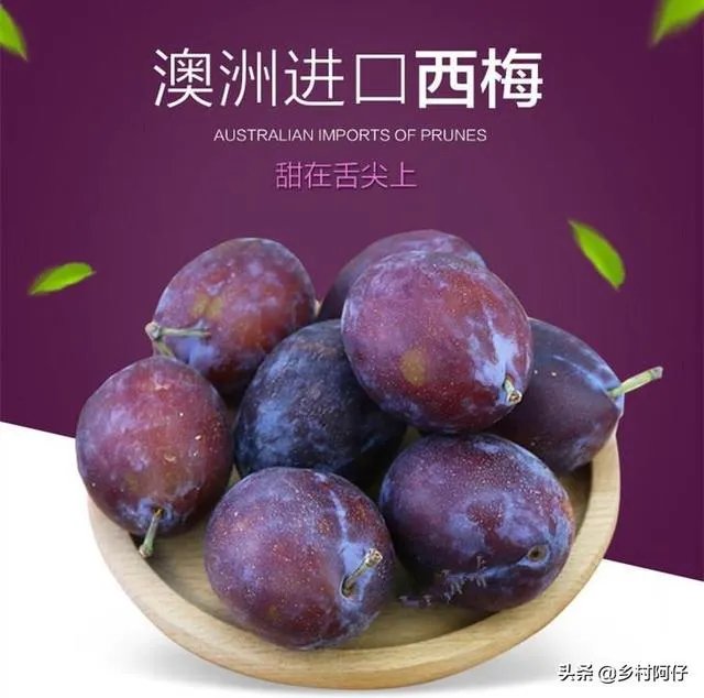 西梅是澳洲还是智利的好