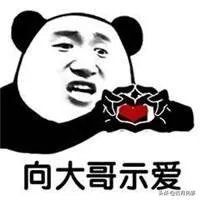 绝地求生：A+大哥口无遮拦骂小狮子引起官方调查，被严肃处理，如何评价？