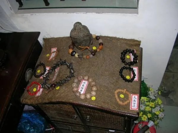 种子圣殿的介绍